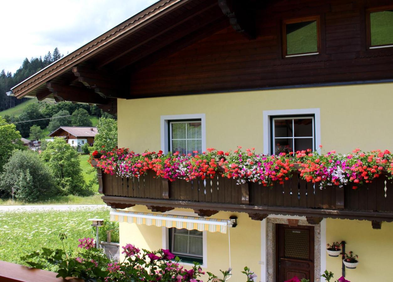 Gleiminger Apartment *